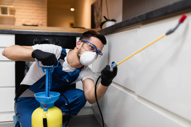 Best Pest Control Near Me  in Veazie, ME