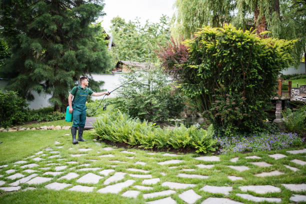 Best Exterminator Services  in Veazie, ME