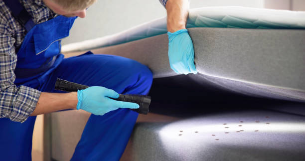 Pest Prevention Services in Veazie, ME