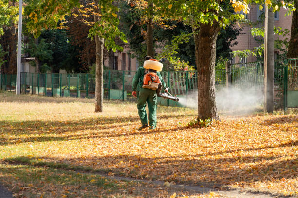 Best Mosquito Control Services  in Veazie, ME